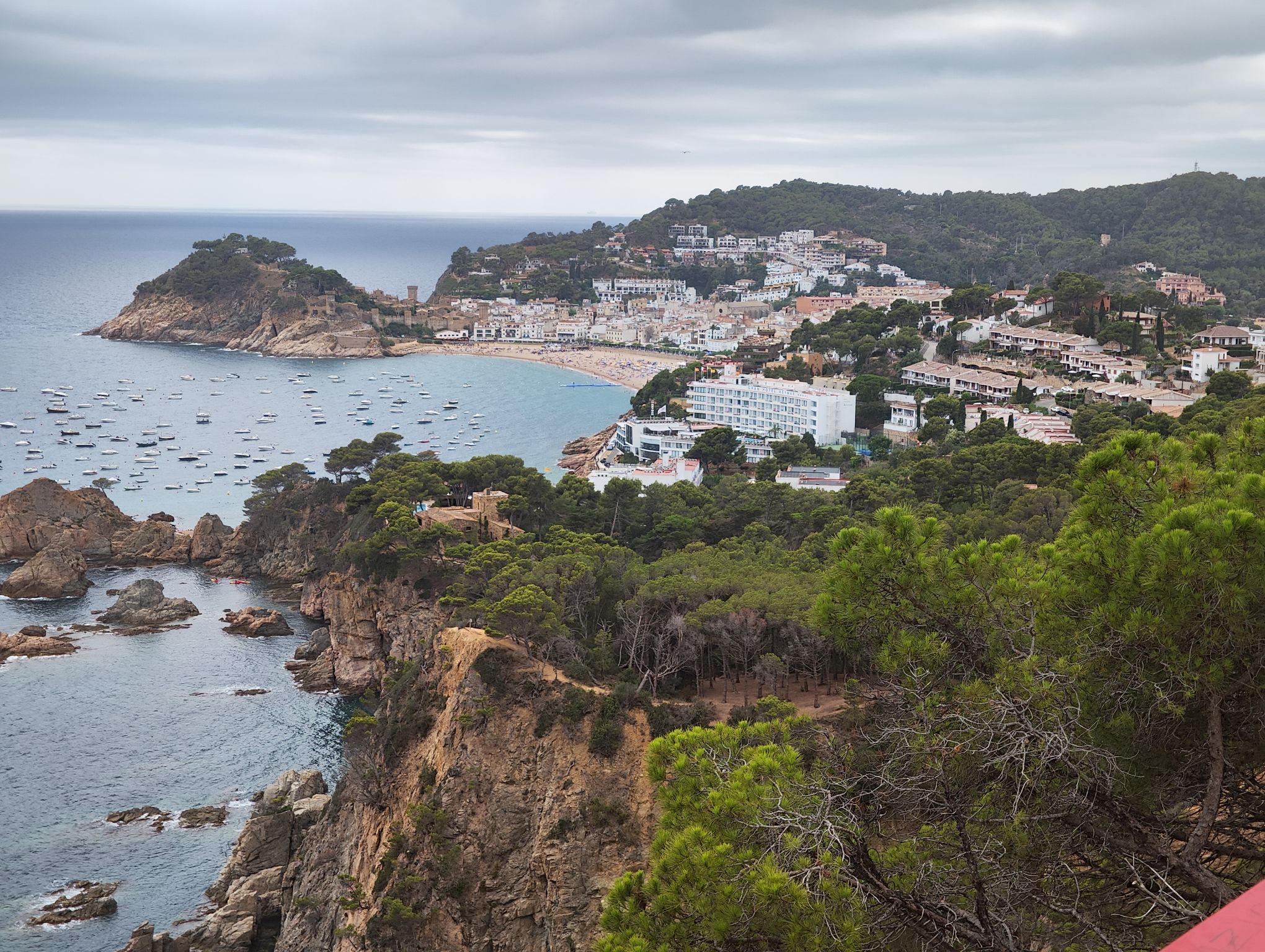 Lire la suite à propos de l’article Jour 5 et 6 : journées découverte et plage