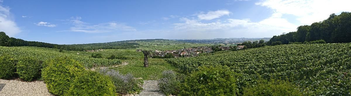 Lire la suite à propos de l’article Mercredi 31 Juillet 2024 : direction la Champagne